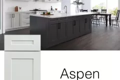 Aspen-in-kitchen