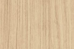 white-river-forest-wwr-close-up-texture-swatch