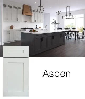 Aspen (AP)